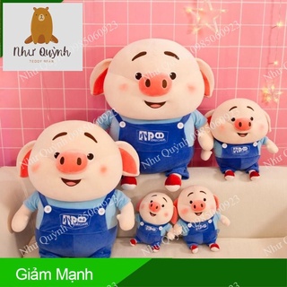 Gấu Bông Heo Mập-Gấu Bông Lợn Tipo Siêu Đáng Yêu Size 50cm 60cm 70cm