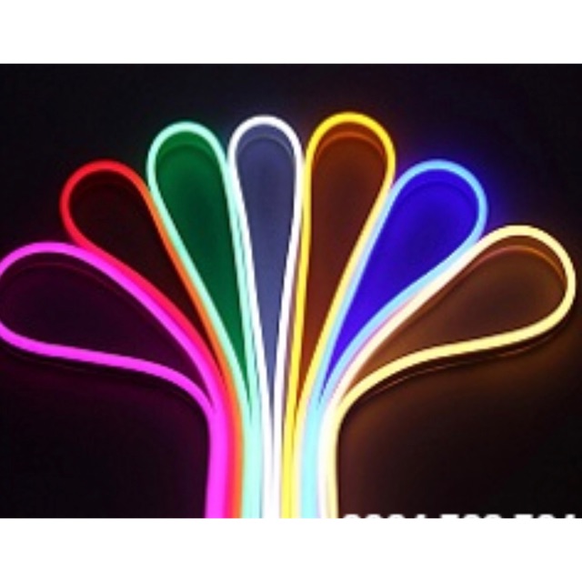 Led Neon quận 5m 12v