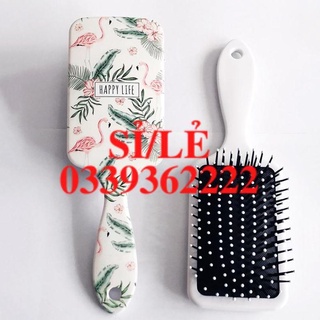 [Hàng mới về] Lược Chải Tóc Bằng Nhựa Chất Lượng Cao Họa Tiết Hoạt Hình Dễ Thương  HAIANHSHOP