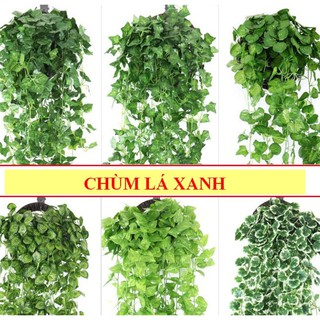 Chùm lá xanh treo tường không kèm giỏ treo( giá bán 1 nhánh)