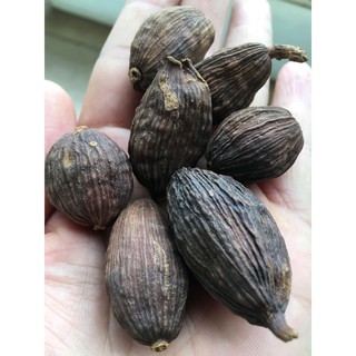 Thảo quả khô (Gói 500g-1kg)