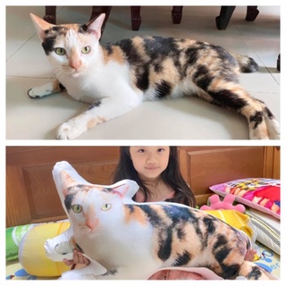 Gối tạo hình Quàng thượng theo yêu cầu