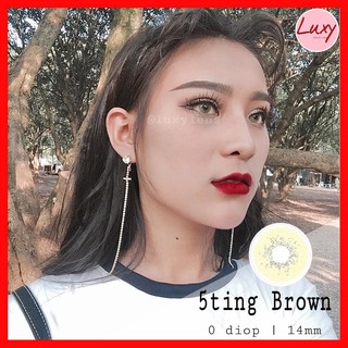 [ Ảnh Thật ] Lens 5ting Brown Không Giãn Nhập Khẩu Hàn Quốc - Luxy Lens