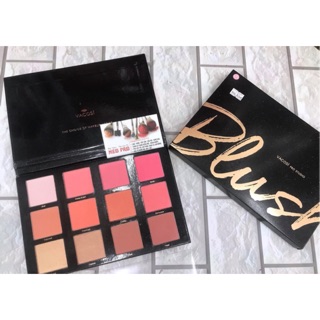 Bảng má hồng 12 ô vacosi pro studio blush palette -66BP