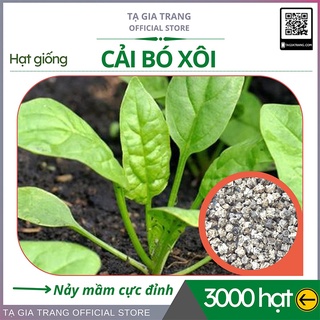 Hạt Giống Rau Cải Bó Xôi Chịu Nhiệt - Rau Chân Vịt, Rau Bina - Shop hạt giống Tạ Gia Trang