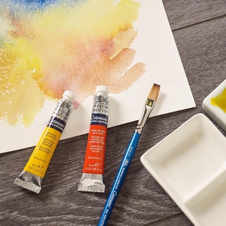 [DA ĐEN] Màu Nước Winsor Newton Cotman 8ml Lẻ