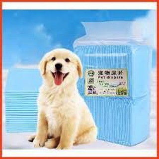 Miếng lót cho chó, mèo đi vệ sinh, tã giấy khay, lồng chuồng thú cưng, siêu thấm hút (bán lẻ từng tấm) PetX
