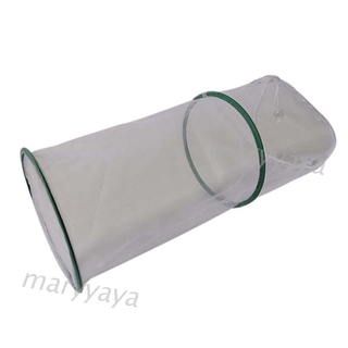 Lồng Lưới Thoáng Khí Đựng Côn Trùng Tiện Lợi