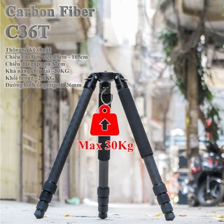 Chân máy ảnh Carbon Fiber C36T chuyên nghiệp chịu tải 30kg