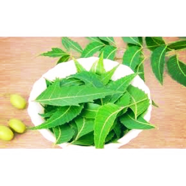 Lá sầu đâu 1000gr lá già nấu nước
