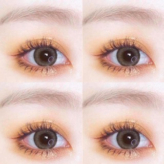 Coral Brown kính áp tròng hàn quốc