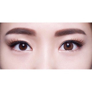 (8.6/14.2) Kính áp tròng màu 1 ngày cận (0>9) FRESHKON Alluring Eyes (Singapore)