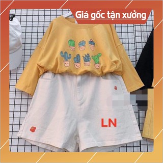 Áo bảy cây xương rồng LN12