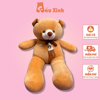 Gấu Bông Teddy Khăn, Gấu Bông To Cao Cấp Quà Tặng Đáng Yêu Chất Liệu Vải co dãn 4 chiều Gấu Xinh - G19