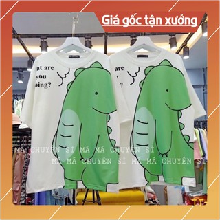 Áo khủng Long xanh what are HT12