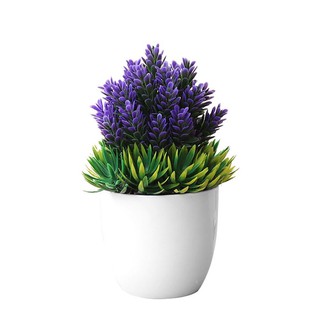 Chậu hoa giả để bàn trang trí, để kệ tủ độc đáo 20x12cm (đủ màu) kèm chậu nhựa