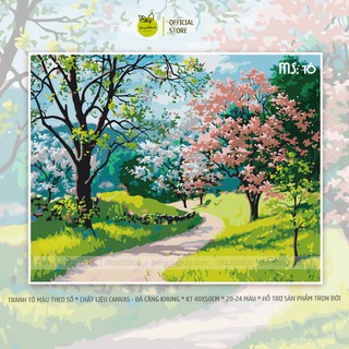 Tranh tô màu theo số Đường xuân 16
