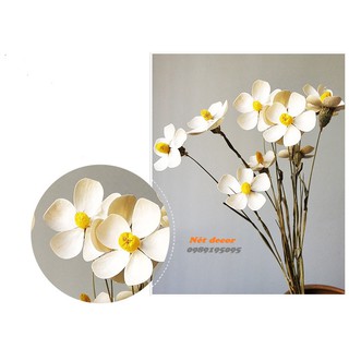 Hoa cúc cánh bướm handmade thật sấy khô