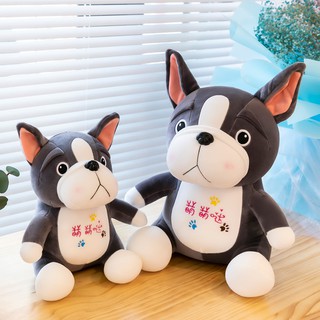 Gấu bông chó Pug kích thước 40-60cm NEOCI