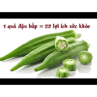 Hạt giống Đậu Bắp Quả Xanh/ quả đỏ dễ trồng, thích nghi với nhiều điều kiện khí hâu và loai đất