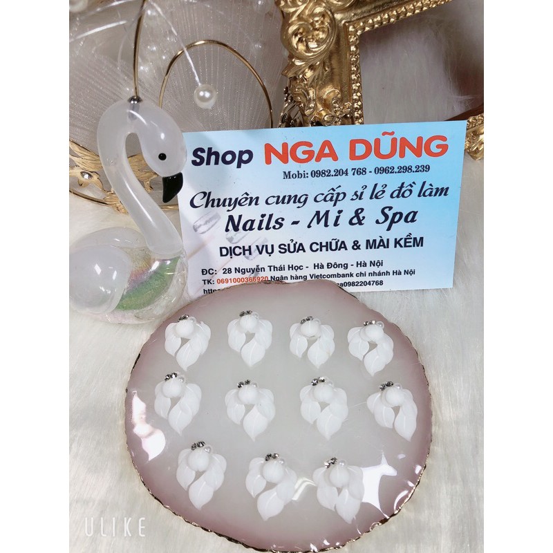 hoa góc ngắn mong