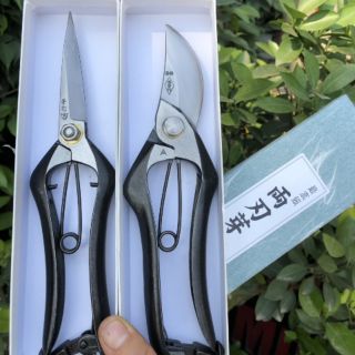 Kéo Nhật Bản nội địa