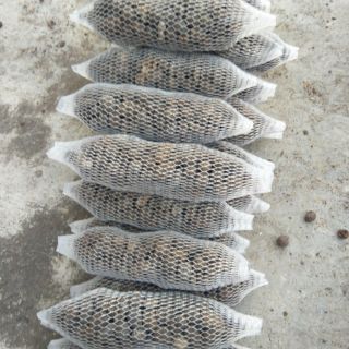 10 túi lưới phân dê dài 10cm