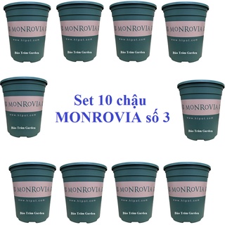 Set 10 chậu nhựa trồng cây Monrovia cỡ số 3 xuất xứ Trung Quốc
