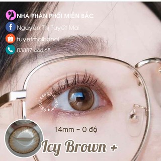 [ Ảnh Thật ] Lens Nâu Tự Nhiên Không Giãn Icy Brown 14mm - Kính Áp Tròng Hàn Quốc Vassen Sexy Me