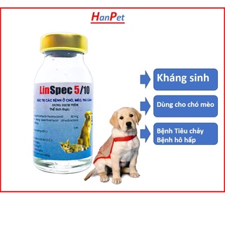 Lọ tiêm 5ml Kháng sinh chó mèo - đi ỉa kiết lị chó dạng chích