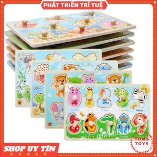 Đồ Chơi Xếp Hình Bảng Ghép Gỗ Có Núm Cầm Cho Bé Size 22,5x15cm
