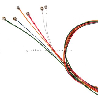 [GIÁ HỦY DIỆT] Bộ Dây Acoustic Màu Sắc STATION