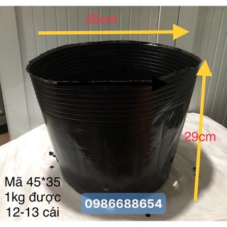 Chậu dẻo trồng cây mã 45*35( đường kính miệng 35 cao29cm)