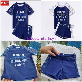 Bộ đồ bơi cho bé trai size 13-40kg in chữ Hizoyoo họa tiết khủng long dày dặn, không nhăn