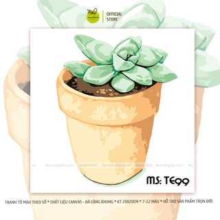 Tranh tô màu theo số Chậu cây sen đá nhỏ TE99 kích thước 20x20cm