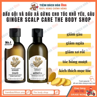 Dầu gội và dầu xả gừng chăm sóc tóc gàu, bết The body shop Ginger Anti-Dandruff