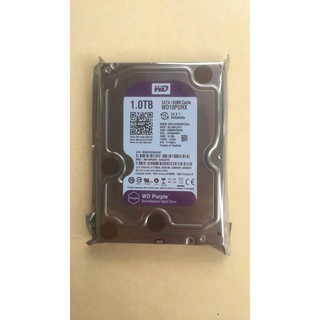 Ổ Cứng Camera Western Digital Purple 1TB 64 MB