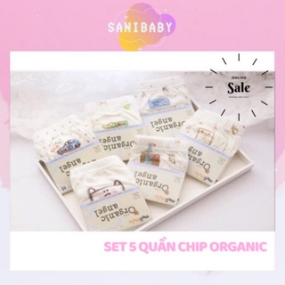 [GIÁ HỦY DIỆT] Set 5 Quần Chip Đùi ORGANIC Bé Gái