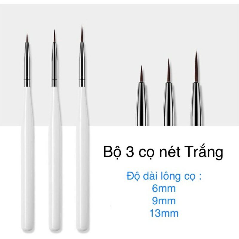 Bộ 3 cọ net (3 bộ 9 cây)