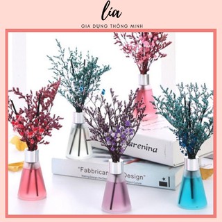 KHUẾCH TÁN TINH DẦU MÀU-TẠO KHÔNG GIAN THƠM MÁT