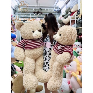 [Bán Chạy] Gấu bông cao cấp Teddy socola kem lông xoắn hoa hồng mịn