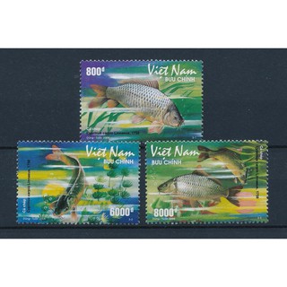 Tem sưu tập MS 969 Tem Việt Nam Cá Chép 2008
