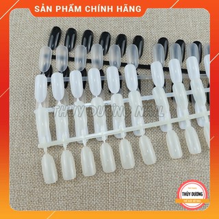 Móng mẫu fom tròn tập sơn, tập vẽ 120 móng
