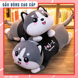Gấu bông giá rẻ husky ôm ngủ mèo cute đồ chơi đáng yêu cho bé size 50cm