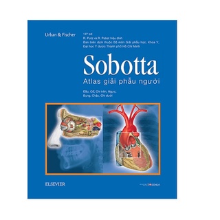 Sách - Sobotta Atlas Giải Phẫu Người