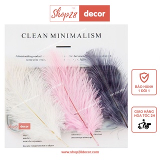 Bộ 2 lông đà điểu nghệ thuật làm phụ kiện chụp ảnh, trang trí sản phẩm, trang sức - Shop28
