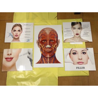TRANH FILLER - COMBO 5 TẤM TRANH ĐẸP-BỀN-RẺ