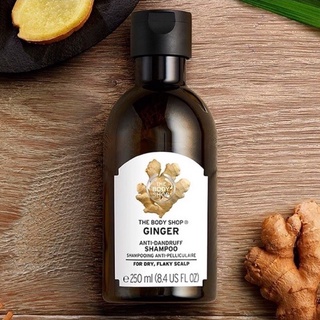 ❤️ THE BODY SHOP Ô liu  Dầu gội đầu chiết xuất gừng chống gàu tiện dụng