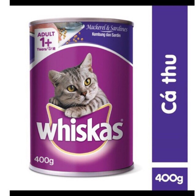 COMBO 5 LON PATE VỊ CÁ THU