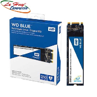 Ổ cứng SSD Western Digital Blue 250GB WDS250G2B0B M.2 2280 SATA 3